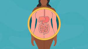 Managing Gastrointestinal Health: Tips and AdviceManaging Gastrointestinal Health: Tips and Advice