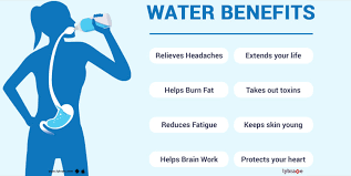 The Role of Water in Health and Hydration