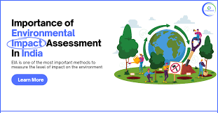 The Importance of Environmental Impact Assessments